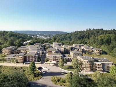 Waldstadt_Pantli.png